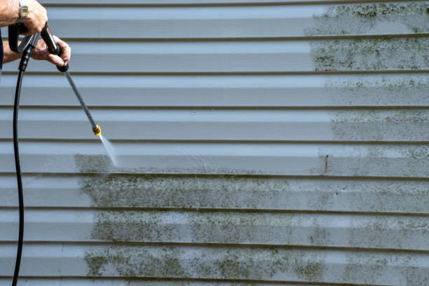 Best Residential Vinyl Siding Installation  in Magalia, CA